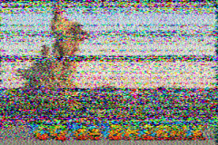 SSTV-231011-095636-14230